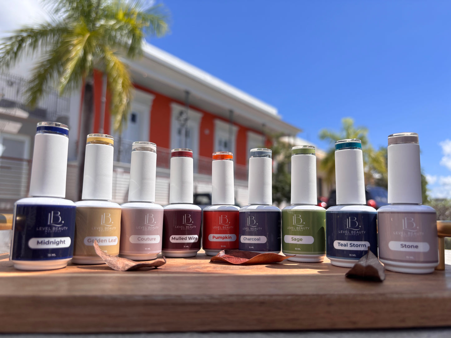 Enchanted Fall Collection